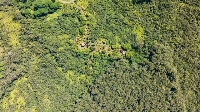 a view of a lush green field