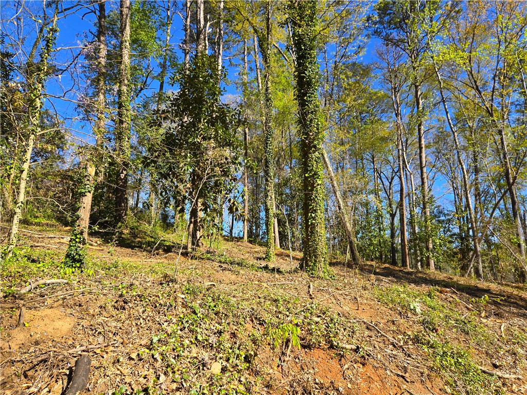 988 Barnwell Road Spartanburg, SC 29303 - Photo 11 of 38