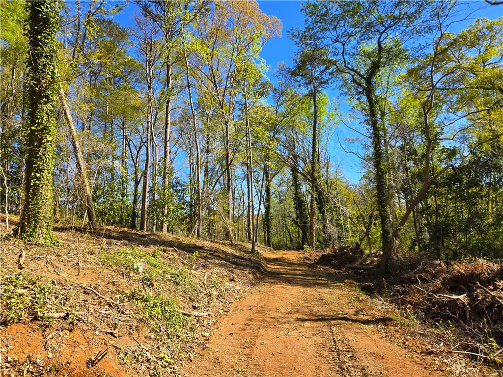 988 Barnwell Road Spartanburg, SC 29303 - Photo 12 of 38