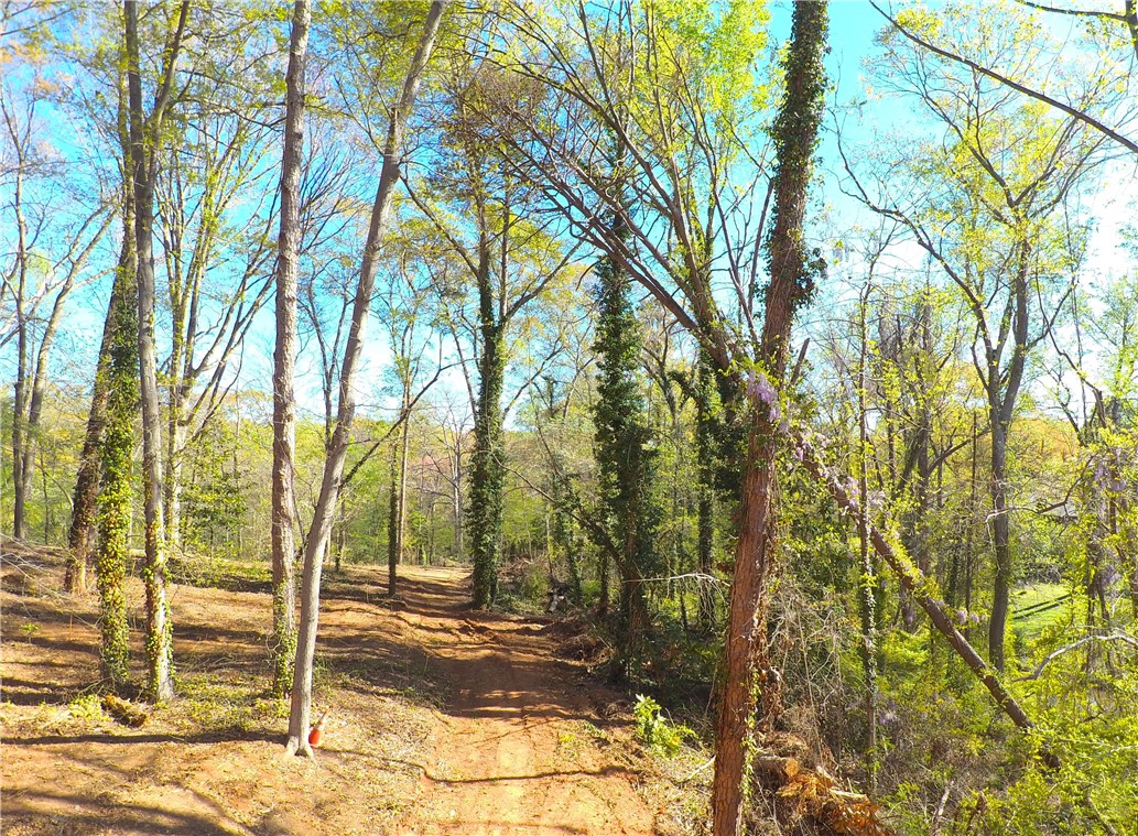 988 Barnwell Road Spartanburg, SC 29303 - Photo 32 of 38