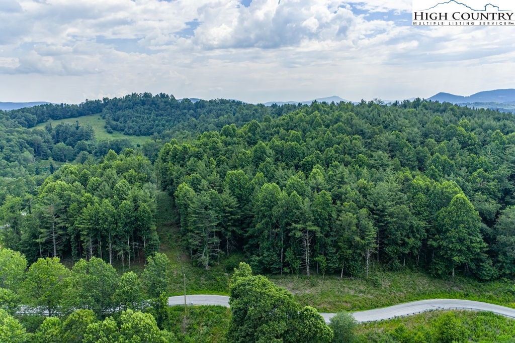 Hardin Road Boone, NC 28607 - Photo 18 of 24 Gallery Image 18