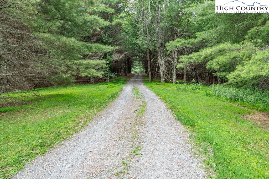 Hardin Road Boone, NC 28607 - Photo 3 of 24 Gallery Image 3