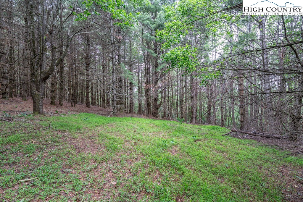 Hardin Road Boone, NC 28607 - Photo 5 of 24 Gallery Image 5