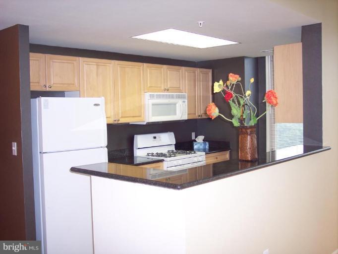 2726 Gallows Road, Unit 1416 Vienna, VA 22180 - Photo 5 of 22 a kitchen with a refrigerator and a large window