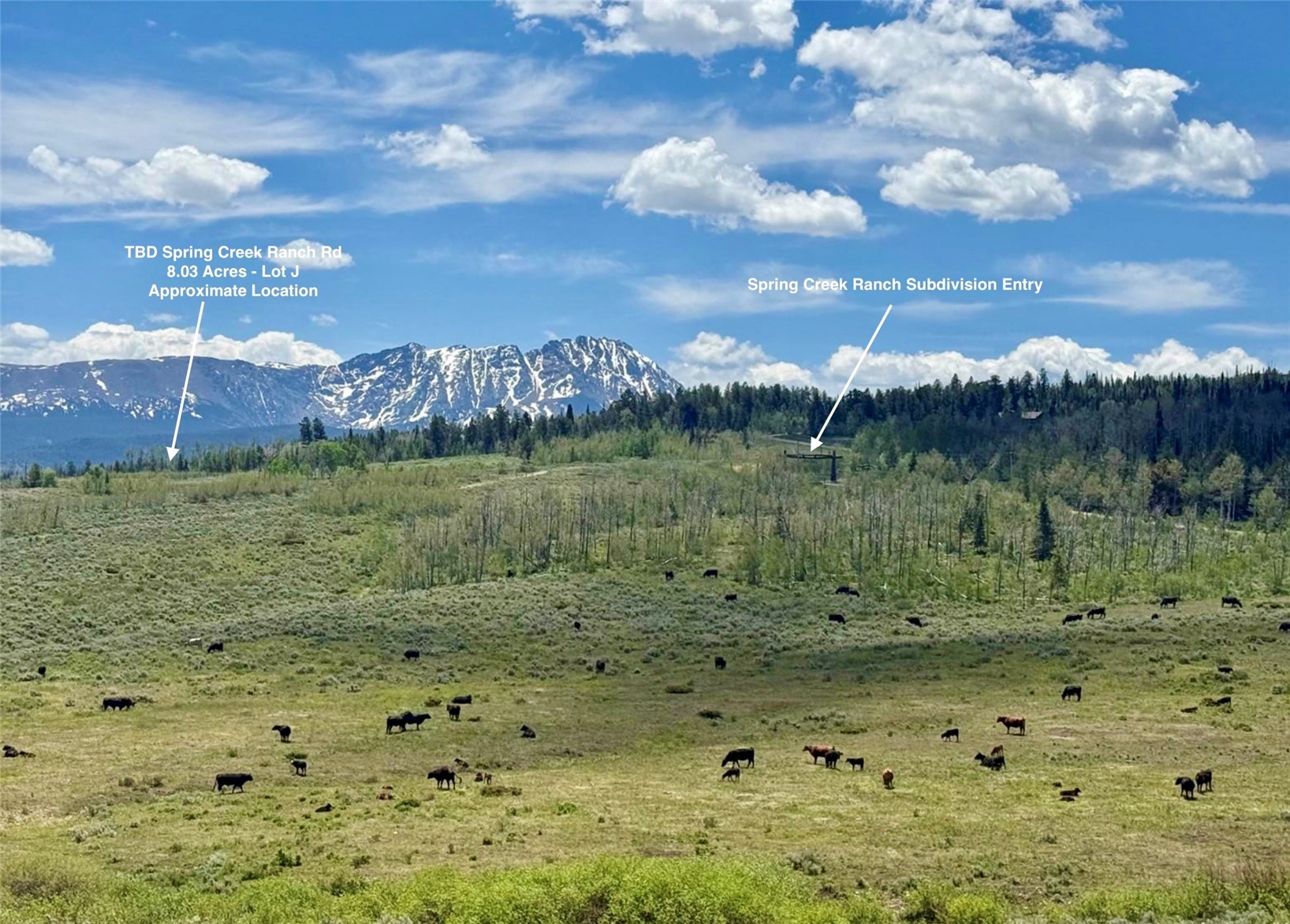 Tbd Spring Creek Ranch Road Silverthorne, CO 80498 - Photo 1 of 48