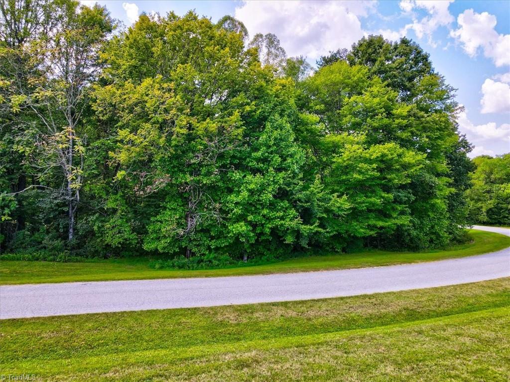 7335 Hidden View Drive Oak Ridge, NC 27310 - Photo 12 of 15 Gallery Image 12