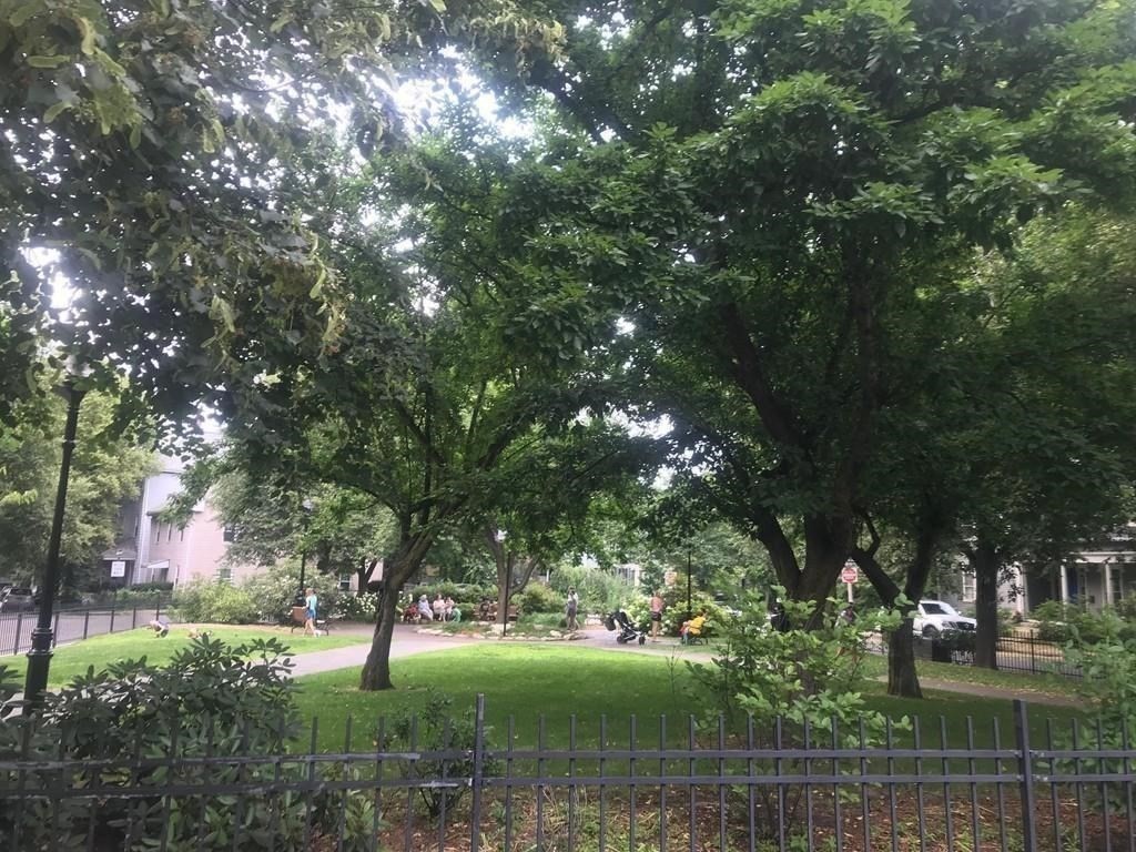 31 Linden Place, Unit 1 Brookline, MA 02445 - Photo 23 of 25