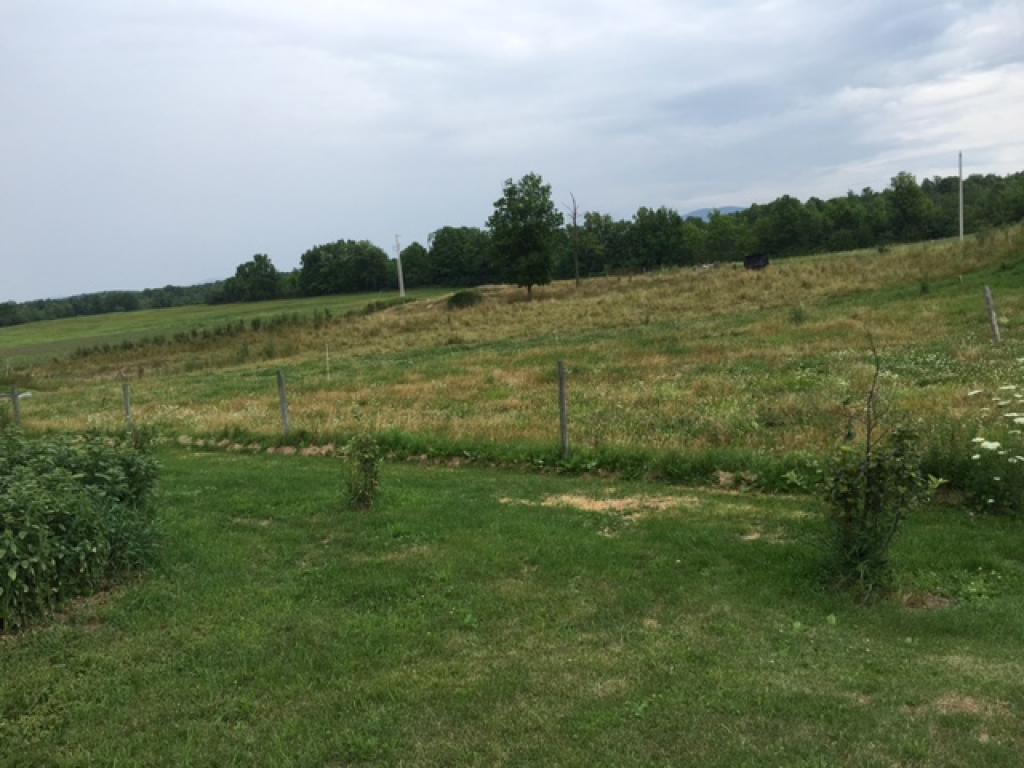 2446 Dewey Road Salisbury, VT 05769 - Photo 22 of 35