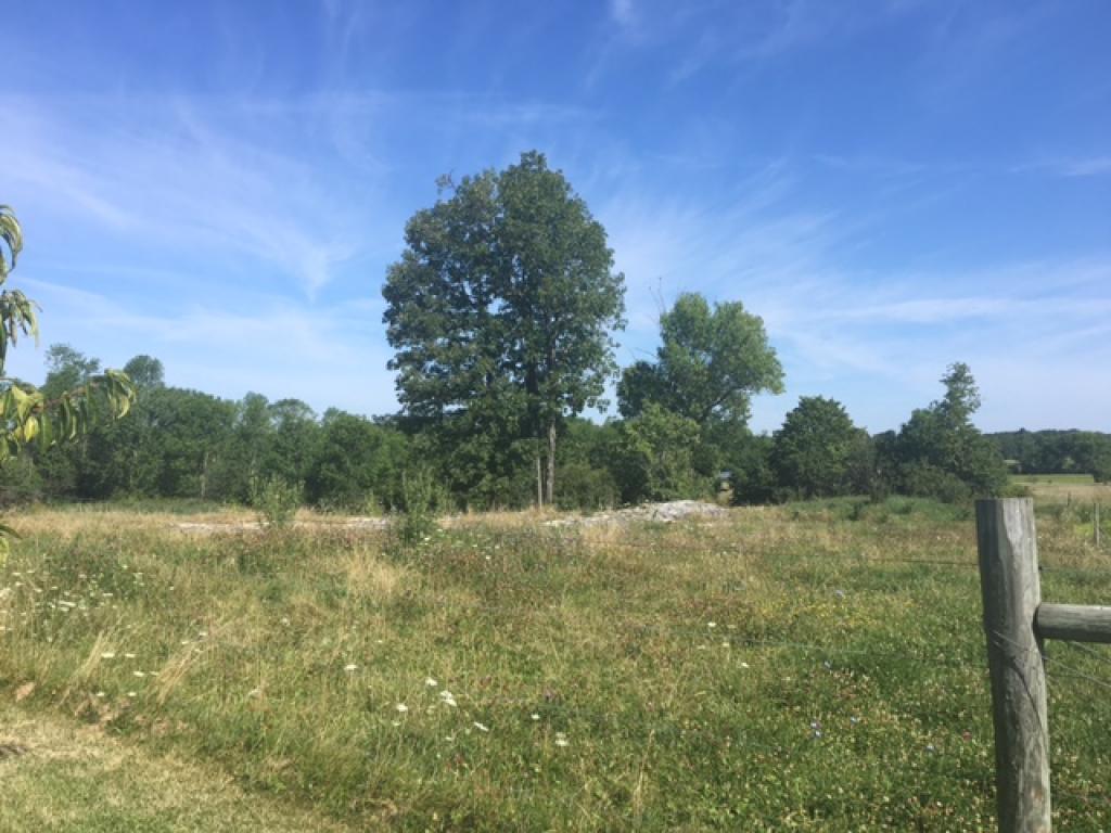 2446 Dewey Road Salisbury, VT 05769 - Photo 33 of 35