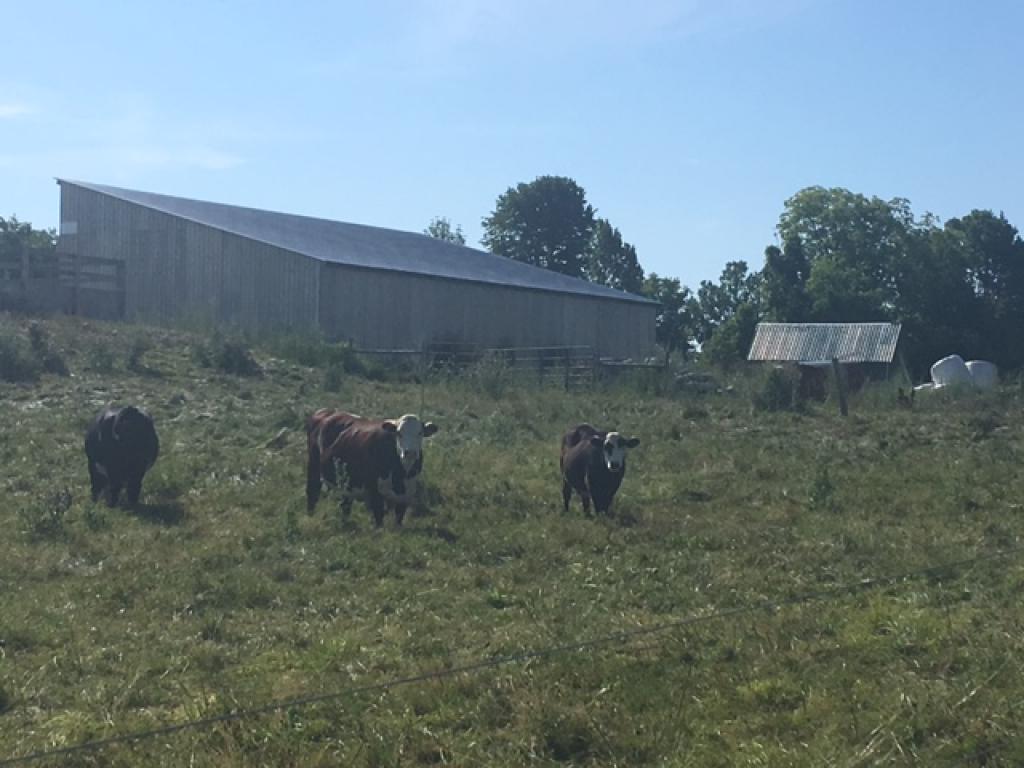 2446 Dewey Road Salisbury, VT 05769 - Photo 35 of 35