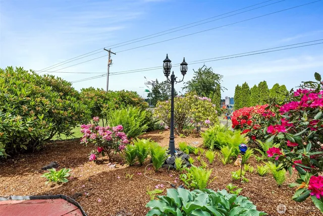 a view of a flower in a garden