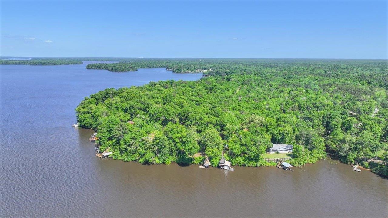 Parramore Shores Road Tallahassee, FL 32310 - Photo 24 of 31