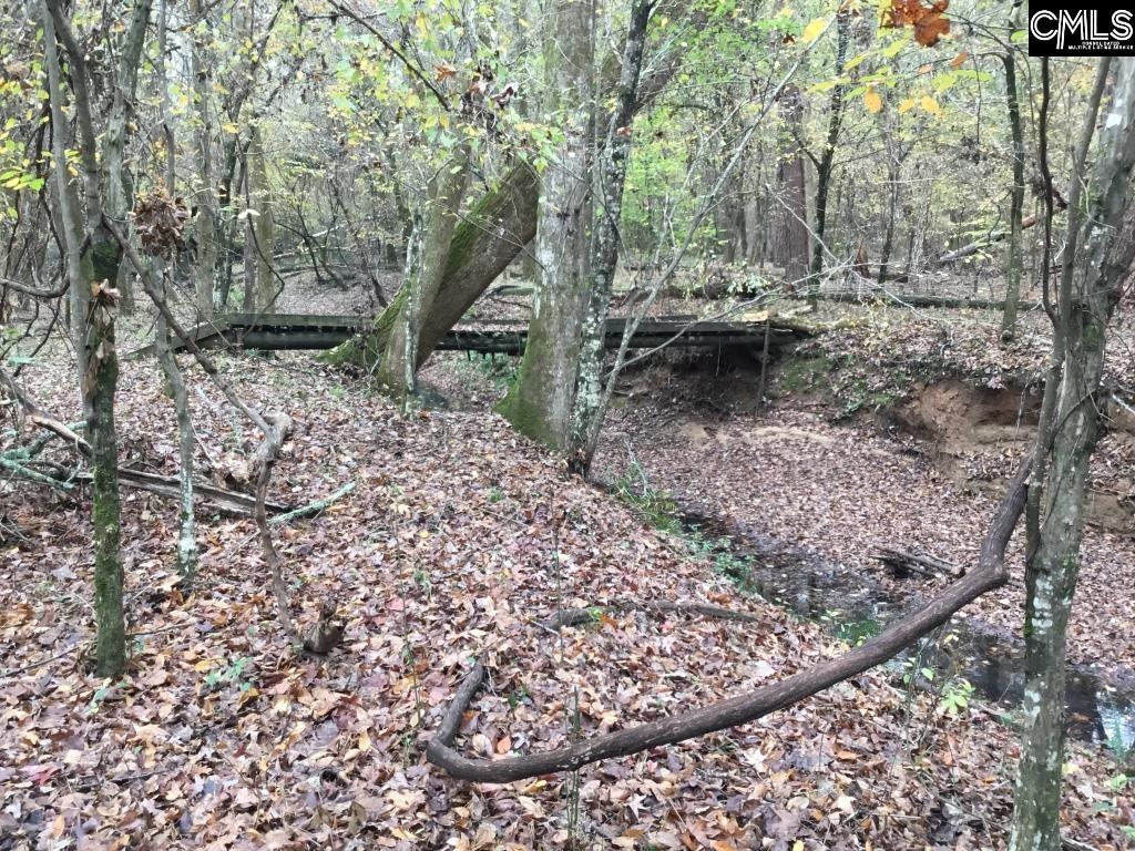 Old Cherokee Road Blair, SC 29015 - Photo 14 of 18