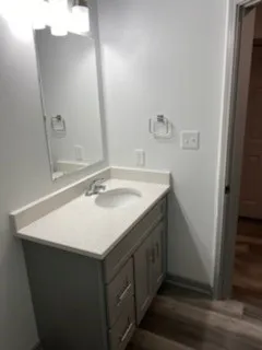 a bathroom with a sink and a mirror