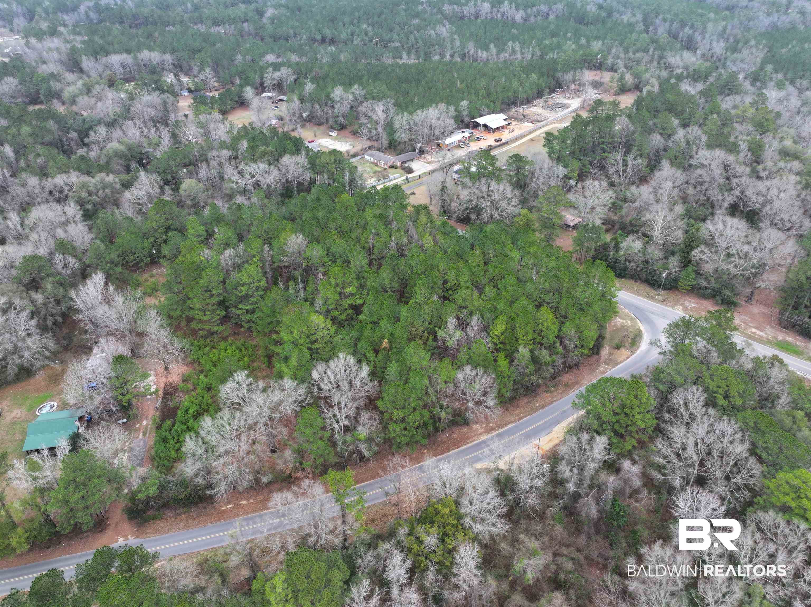 2451 Tippens Eddy Road Brewton, AL 36426 - Photo 3 of 4 Aerial view