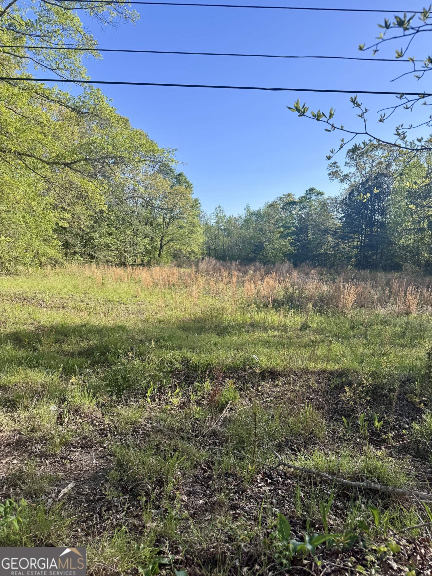 0 Susie Pope Road Buchanan, GA 30113 - Photo 1 of 1 Gallery Image 1