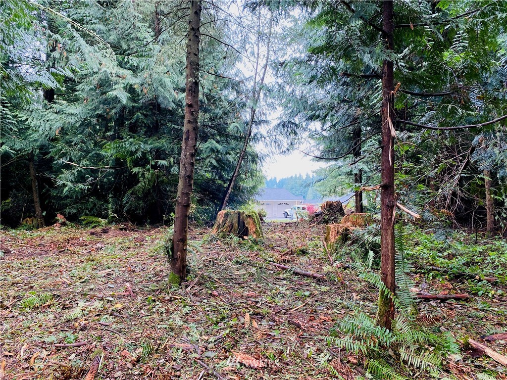 16928 Freestad Road Arlington, WA 98223 - Photo 37 of 39 Gallery Image 37