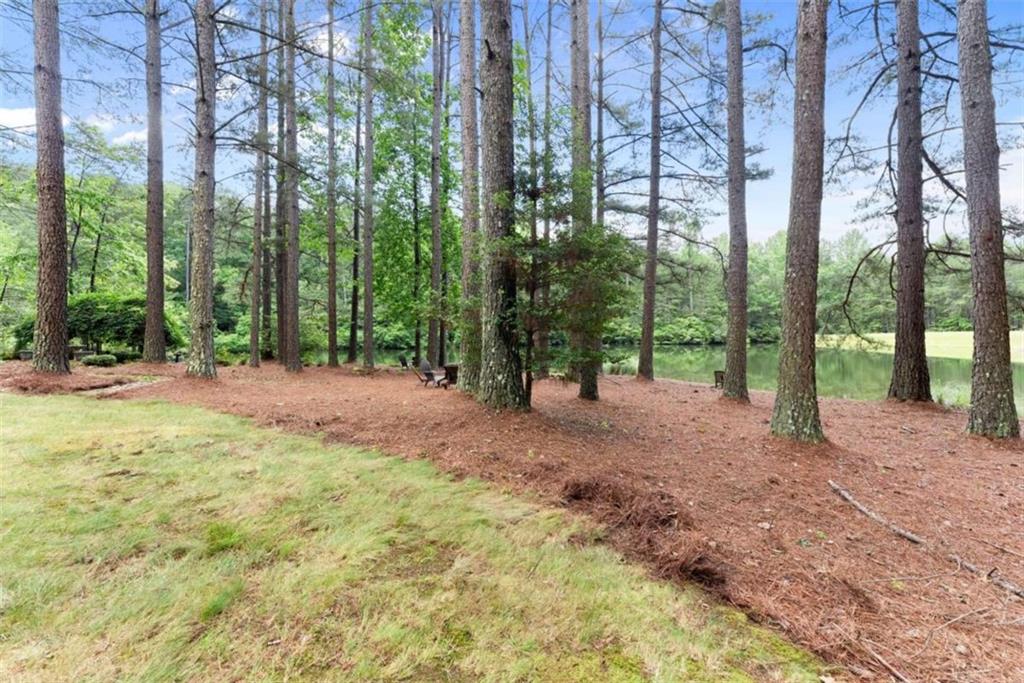 404 Golden Delicious Road Clarkesville, GA 30523 - Photo 55 of 100