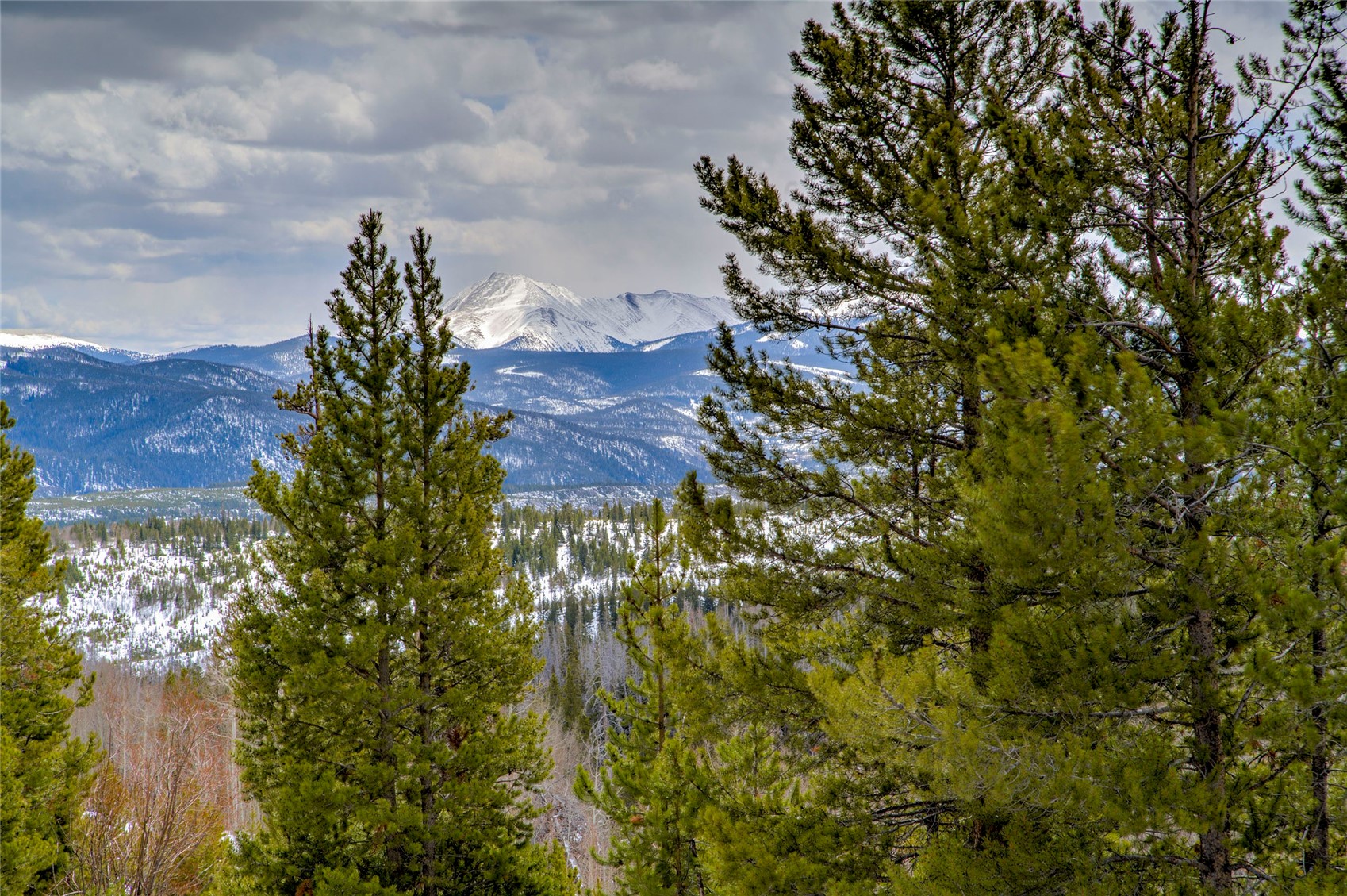 94300 Ryan Gulch Road, Unit 301 Silverthorne, CO 80498 - Photo 22 of 35 a view of a bunch of trees and bushes