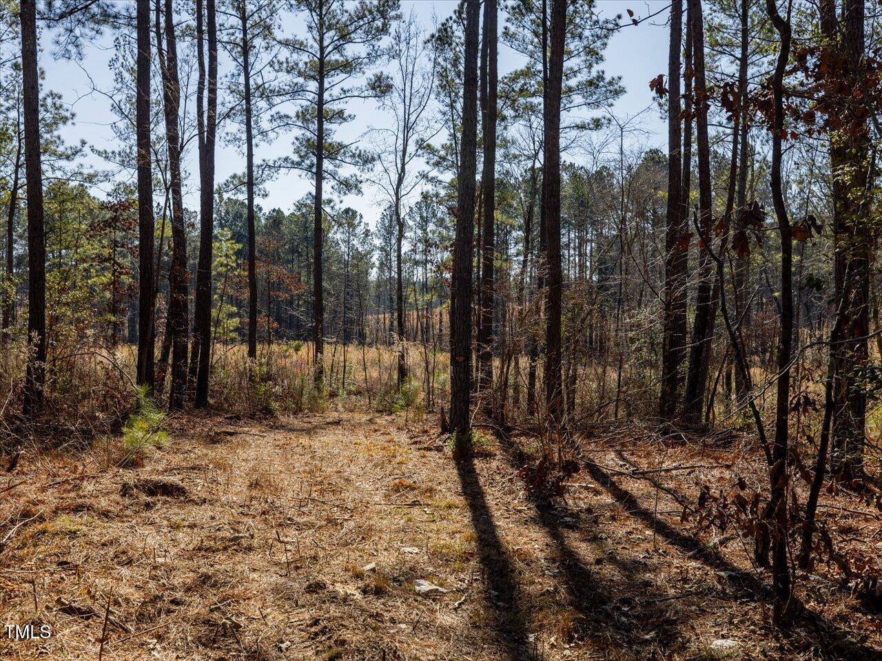 2 Robedo Rd Mount Mount Gilead, NC 27306 - Photo 26 of 28 30-030-Tract2-RobedoRd-MontgomeryCounty-