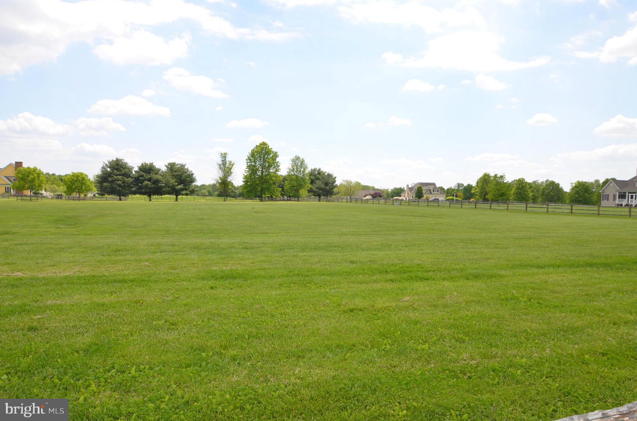 38 Budds Landing Road Warwick, MD 21912 - Photo 8 of 14 Pasture