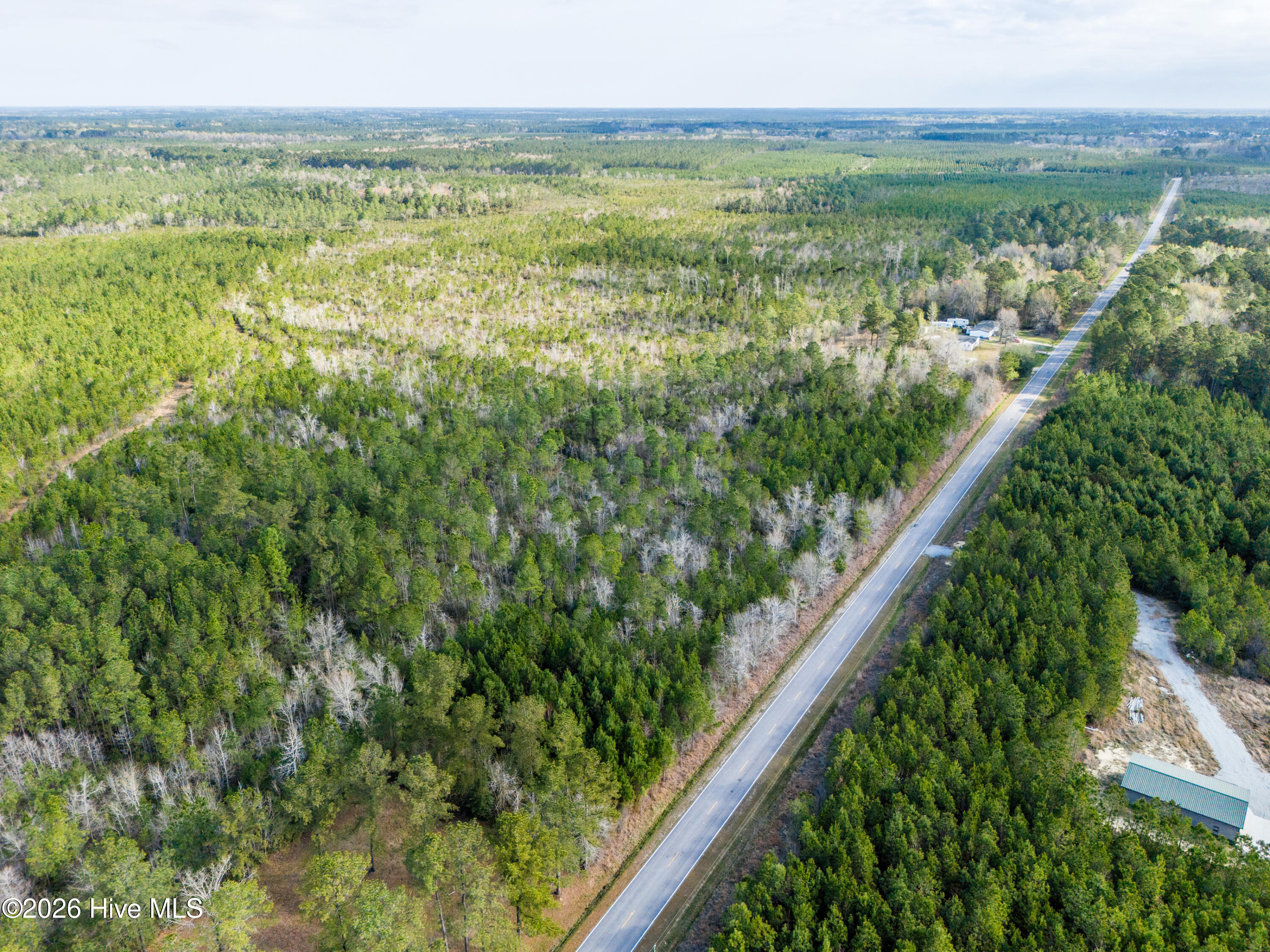 258 Hardy Graham Road Maple Hill, NC 28454 - Photo 6 of 14 DJI_20260326093200_0232_D