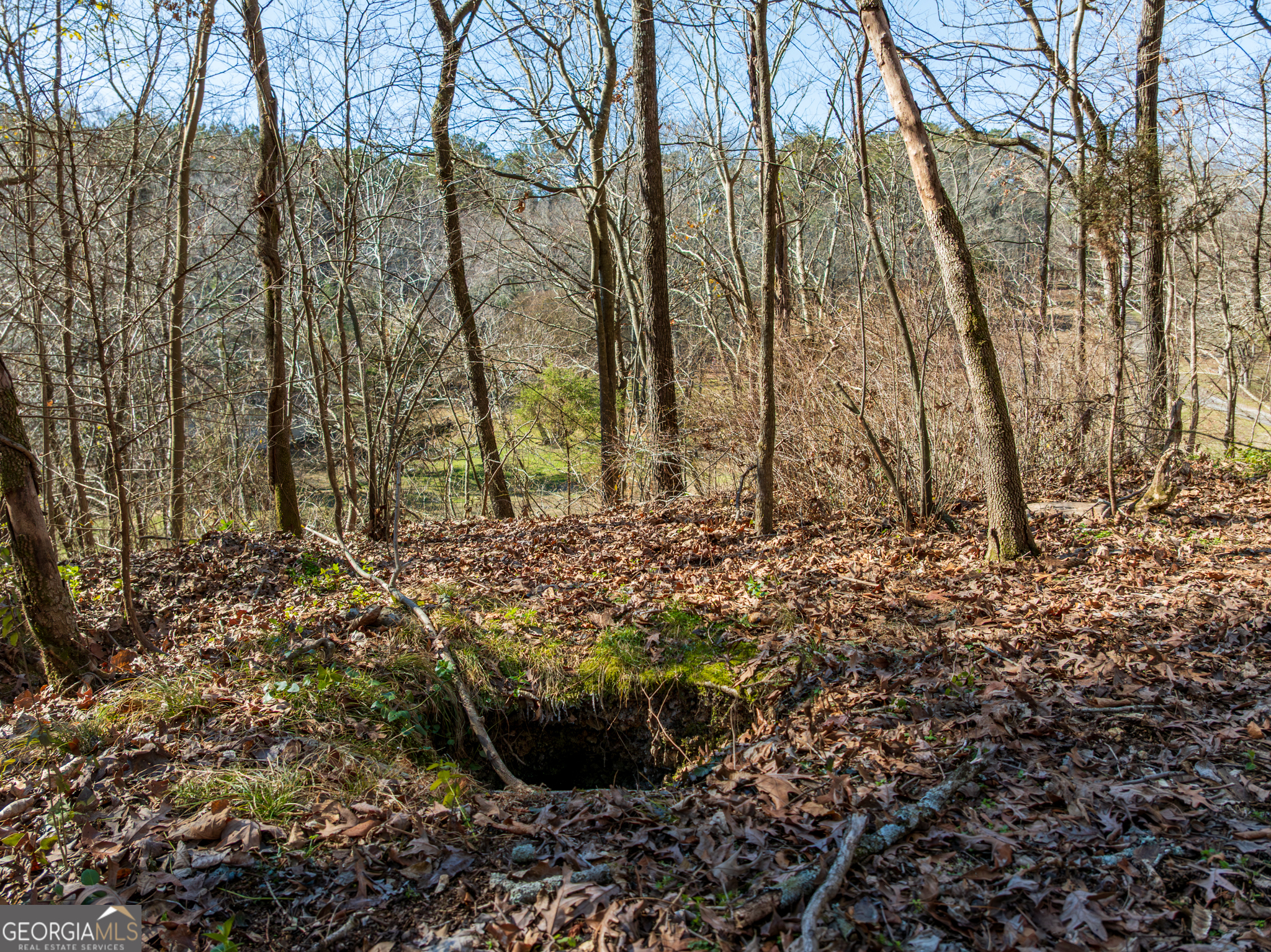 5.28-acres Johnson Road Chickamauga, GA 30707 - Photo 11 of 19