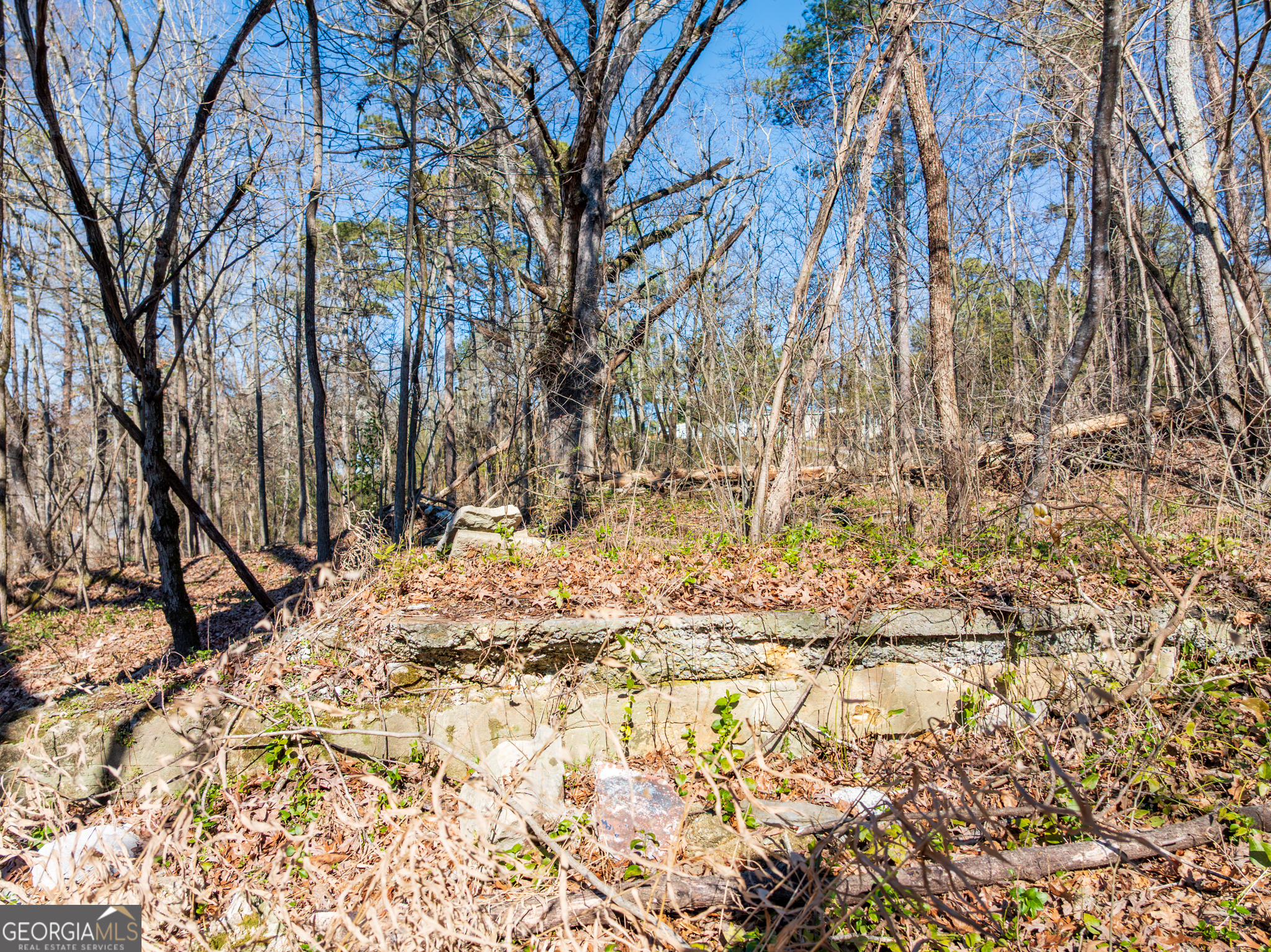 5.28-acres Johnson Road Chickamauga, GA 30707 - Photo 12 of 19