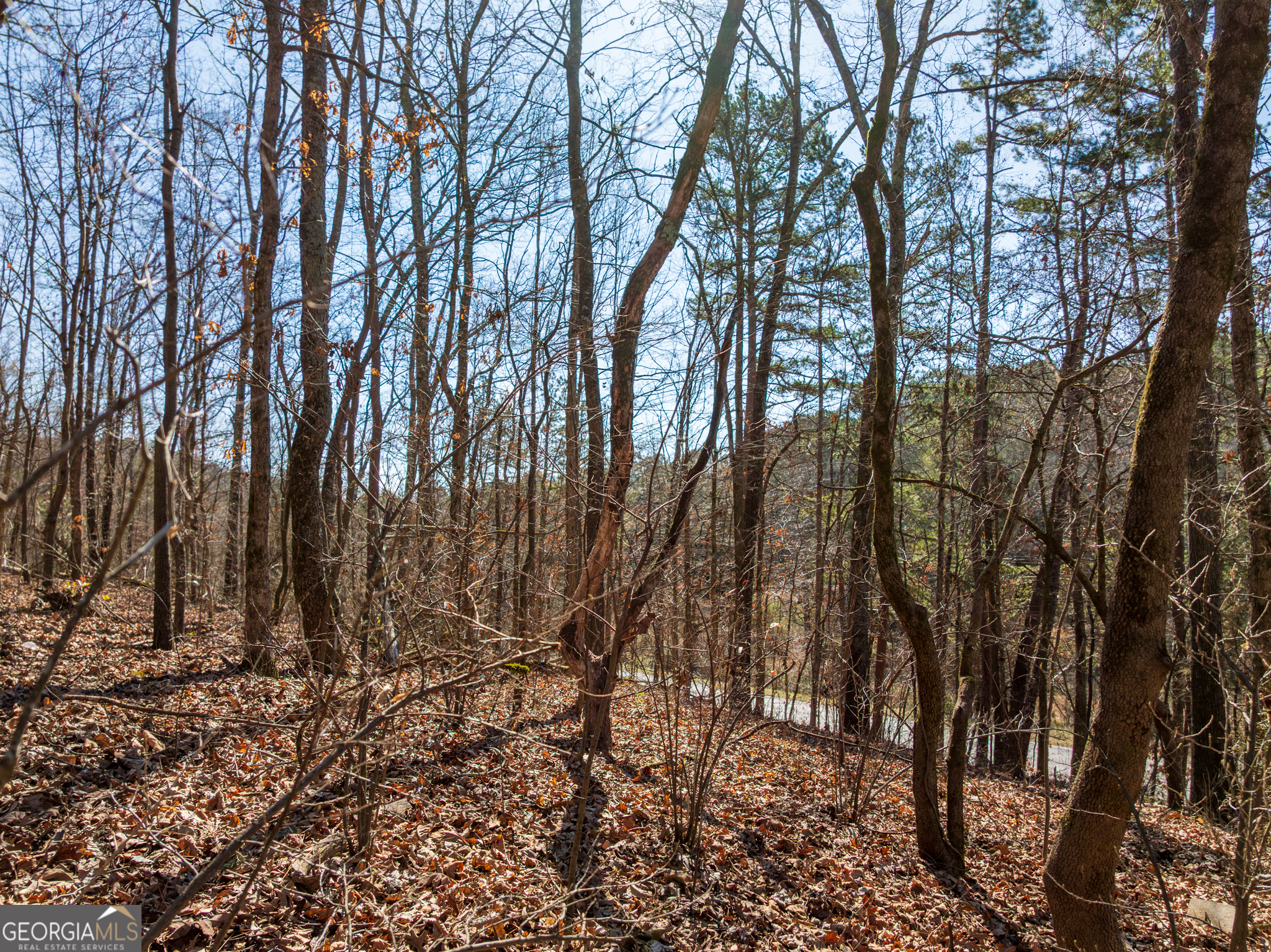 5.28-acres Johnson Road Chickamauga, GA 30707 - Photo 13 of 19