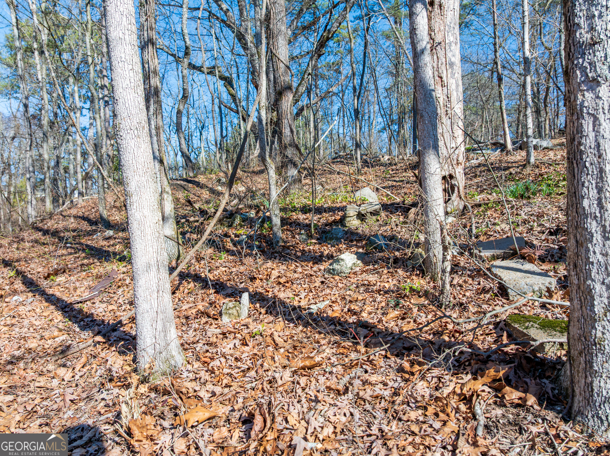 5.28-acres Johnson Road Chickamauga, GA 30707 - Photo 15 of 19