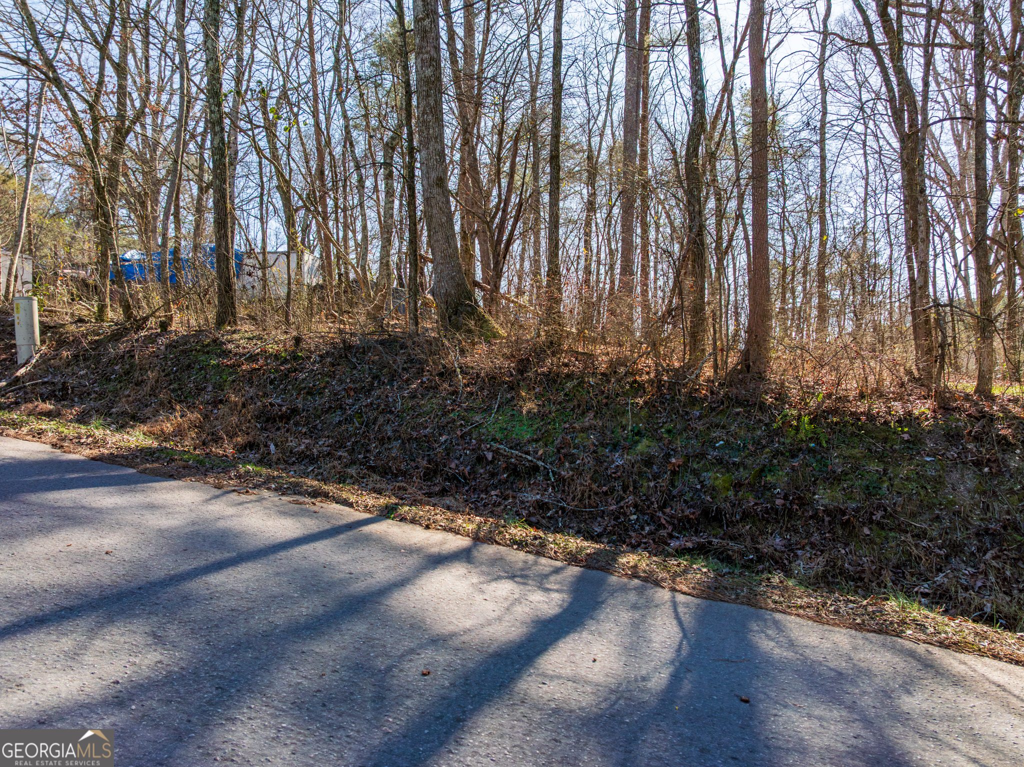 5.28-acres Johnson Road Chickamauga, GA 30707 - Photo 5 of 19