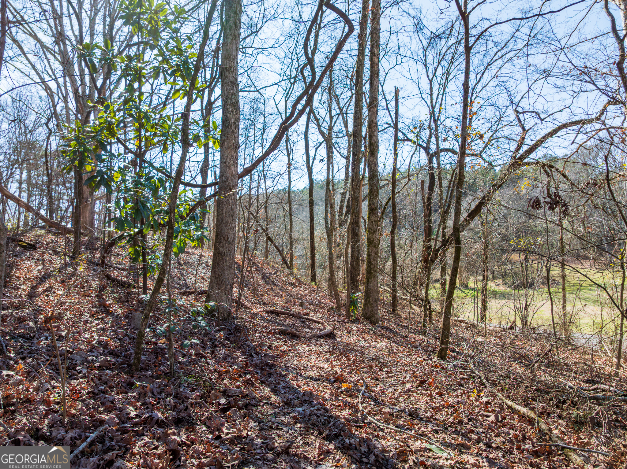 5.28-acres Johnson Road Chickamauga, GA 30707 - Photo 6 of 19