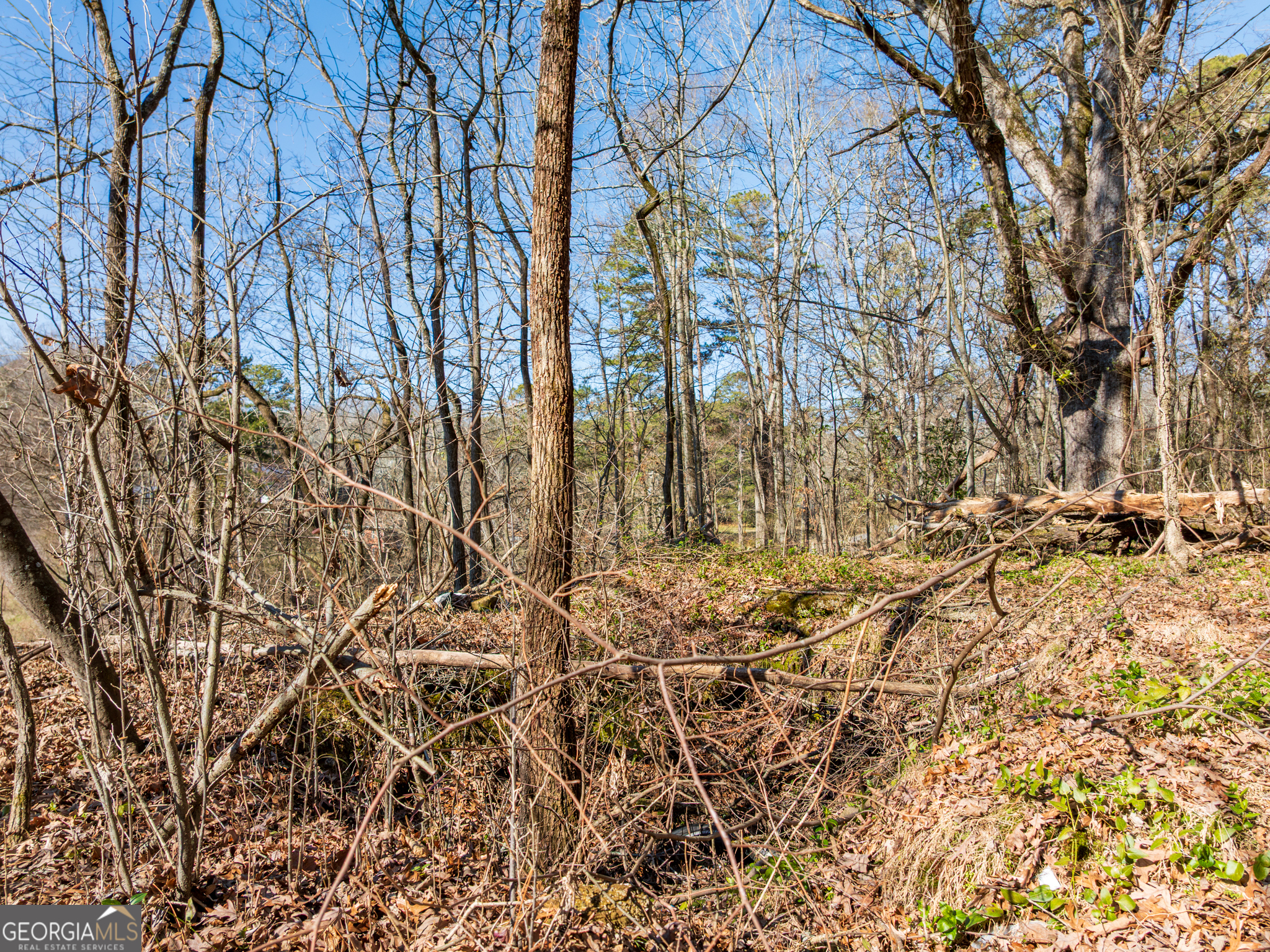 5.28-acres Johnson Road Chickamauga, GA 30707 - Photo 9 of 19