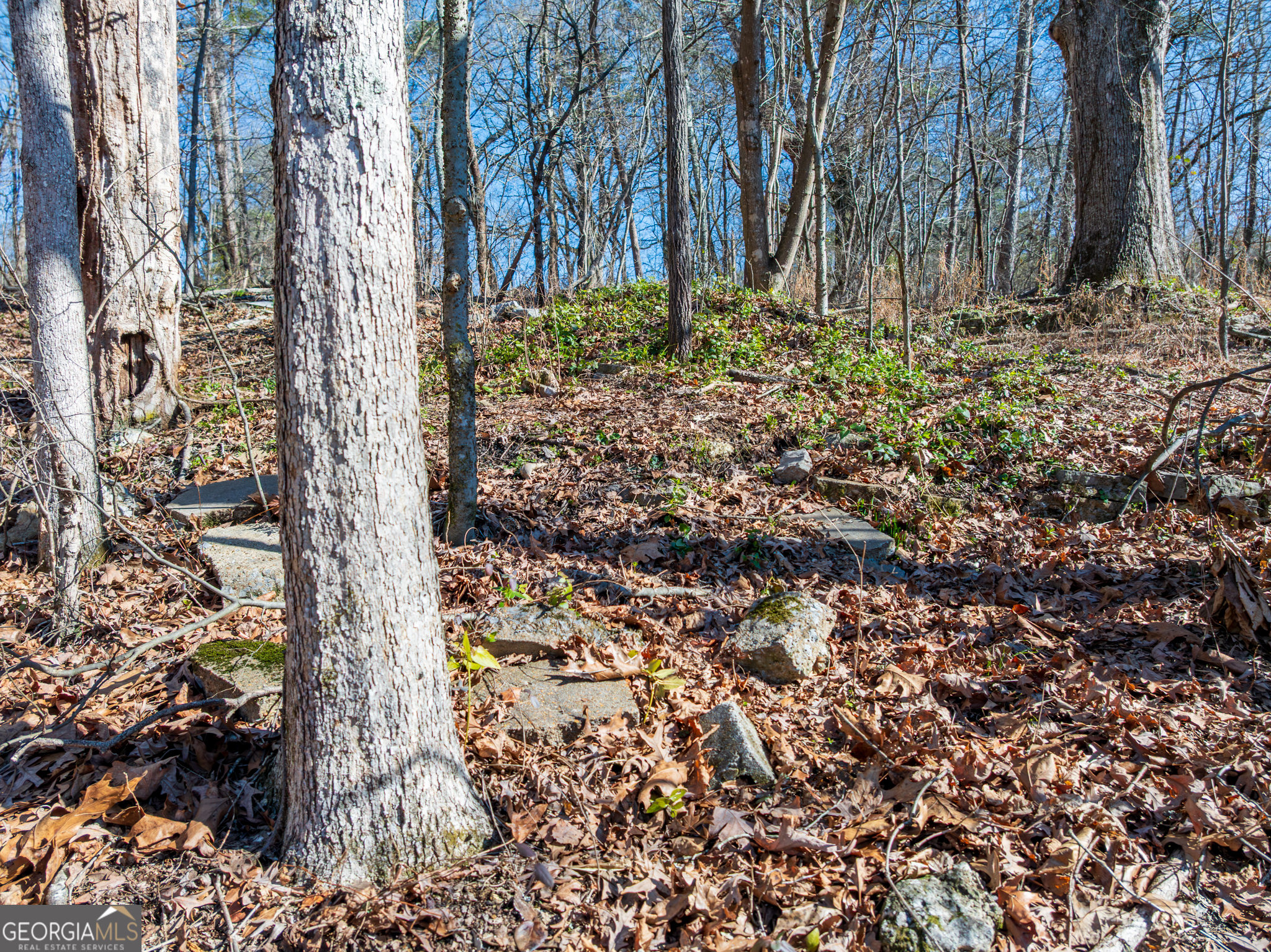 5.28-acres Johnson Road Chickamauga, GA 30707 - Photo 10 of 19