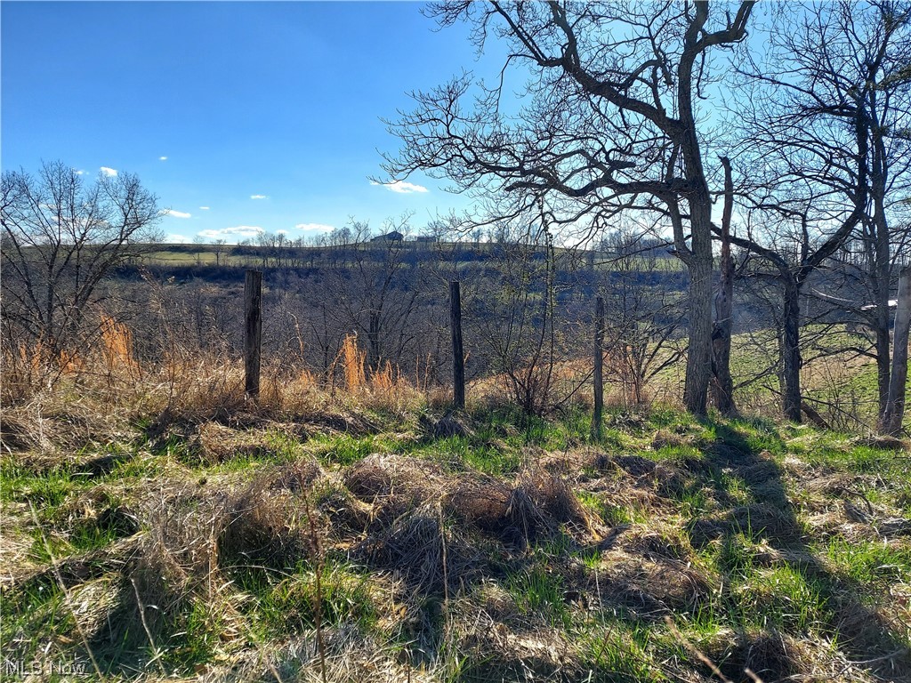 Peewee Hill Road Sandyville, WV 25275 - Photo 16 of 25