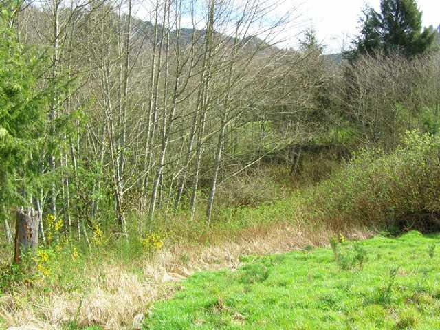 41 Skyview Road Tillamook, OR 97141 - Photo 31 of 33 P3180292