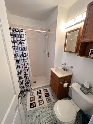 a bathroom with a sink a toilet a mirror and shower