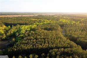 $17,500 | Lot 4 Waverly Lane, White Oak, GA 31568