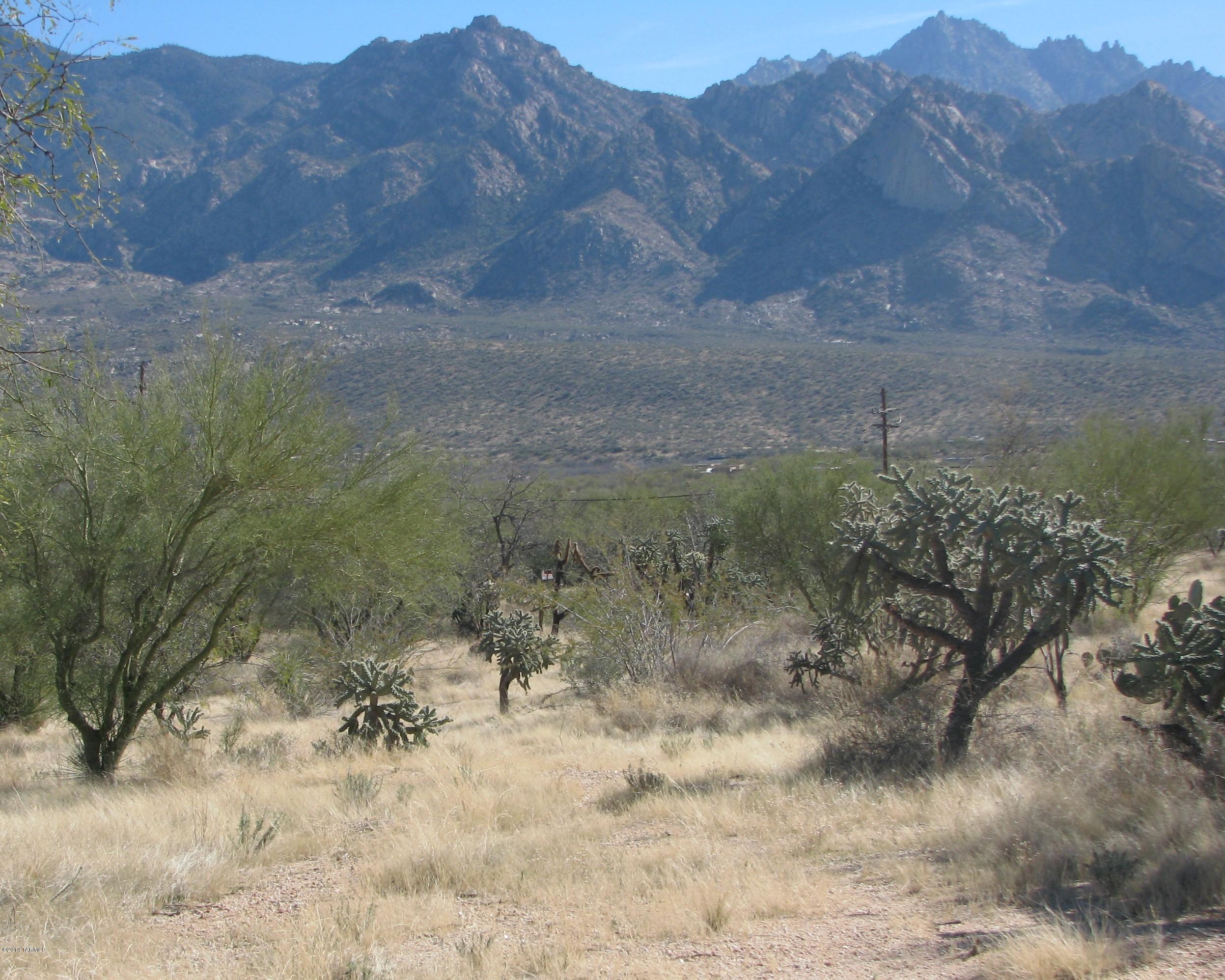 14442 North Swan Road Tucson, AZ 85739 - Photo 23 of 24
