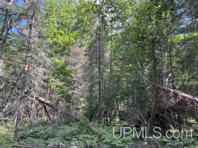 20-acres Willow Creek Road Negaunee, MI 49866 - Photo 3 of 17