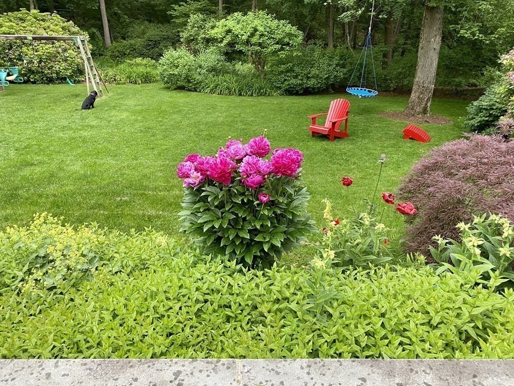10 Meadowbrook Road Wellesley, MA 02481 - Photo 33 of 40 a small garden covered with tall trees
