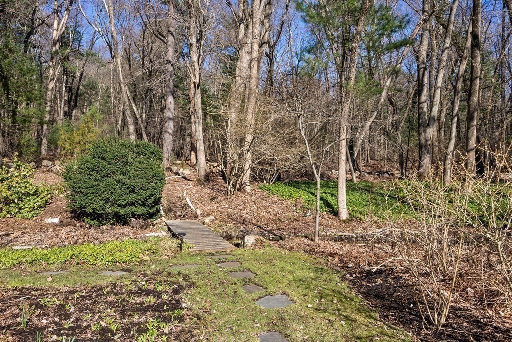 10 Meadowbrook Road Wellesley, MA 02481 - Photo 36 of 40 a backyard of a house with lots of green space