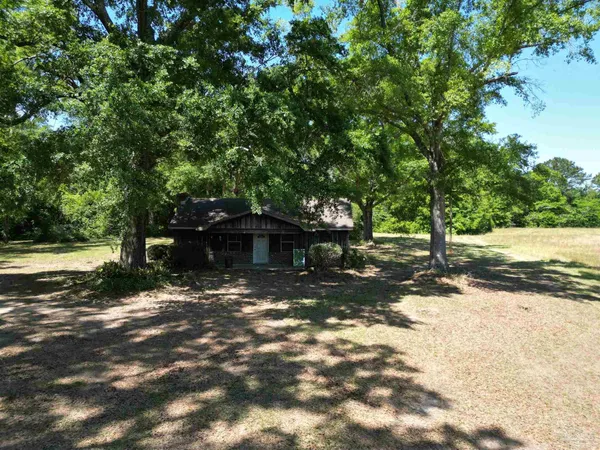 a view of a outdoor space with a tree