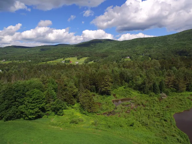 $875,000 | 813 Plunkton Road, Warren, VT 05674
