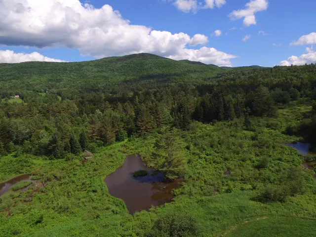 $875,000 | 813 Plunkton Road, Warren, VT 05674