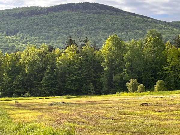 $685,000 | 813 Plunkton Road, Warren, VT 05674