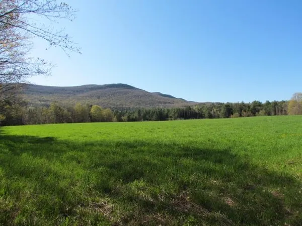 $685,000 | 813 Plunkton Road, Warren, VT 05674