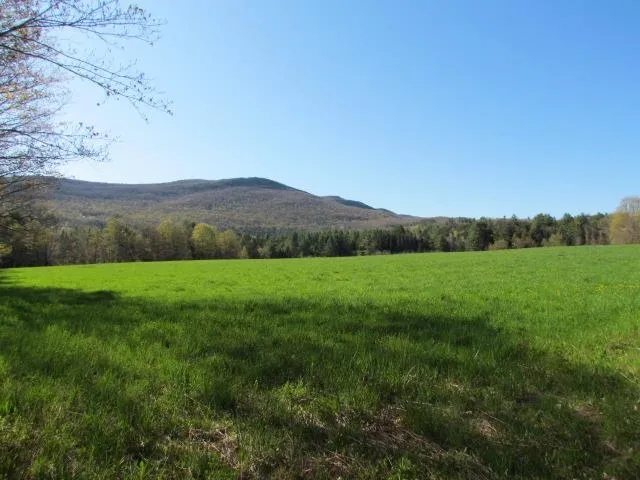 $875,000 | 813 Plunkton Road, Warren, VT 05674