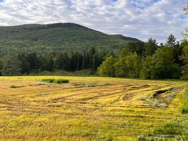 $685,000 | 813 Plunkton Road, Warren, VT 05674