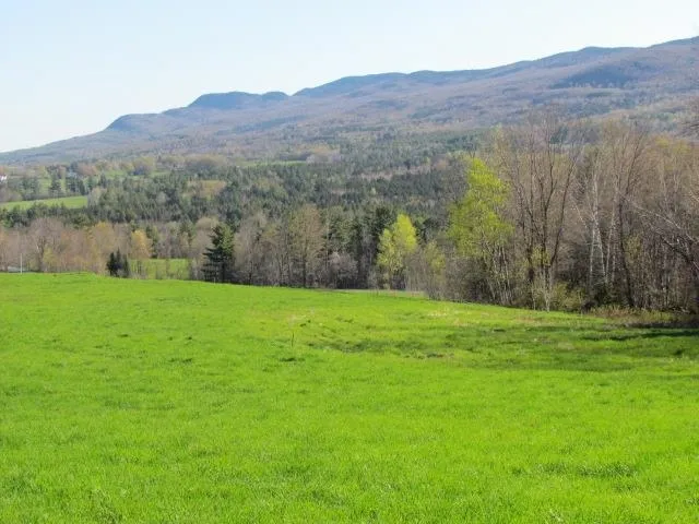 $875,000 | 813 Plunkton Road, Warren, VT 05674